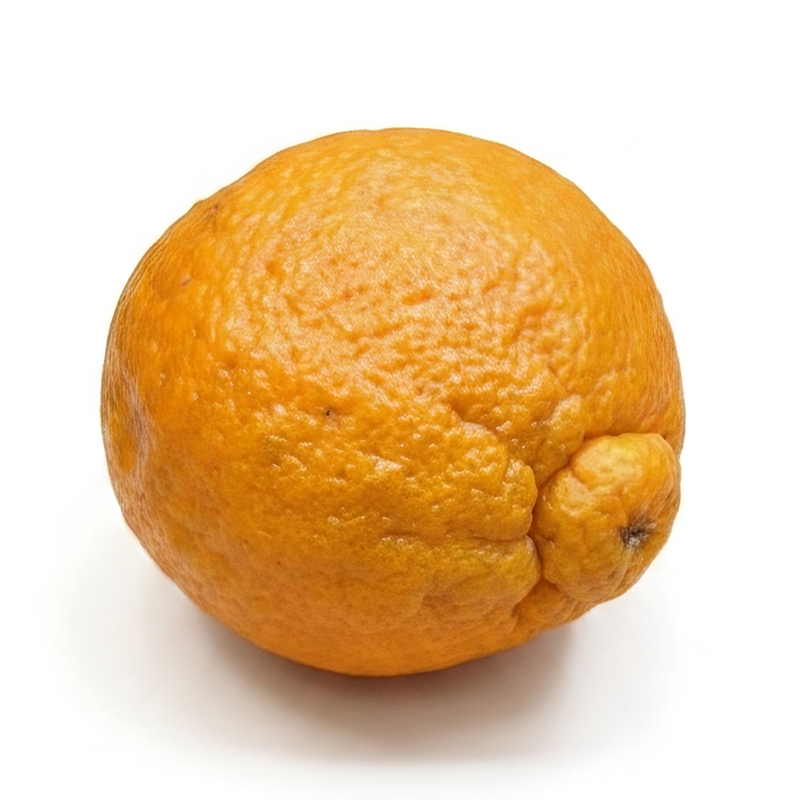 An irregular orange — unusual in appearance, identical in nutrition and value
